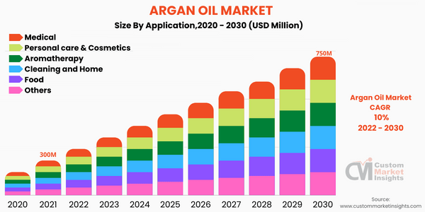 argan oil business plan